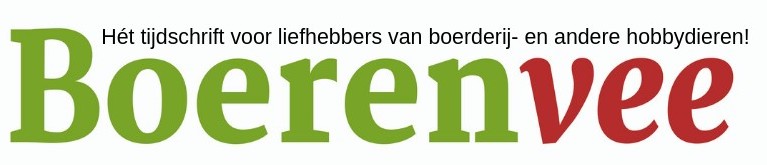 logo-klein-boerenvee